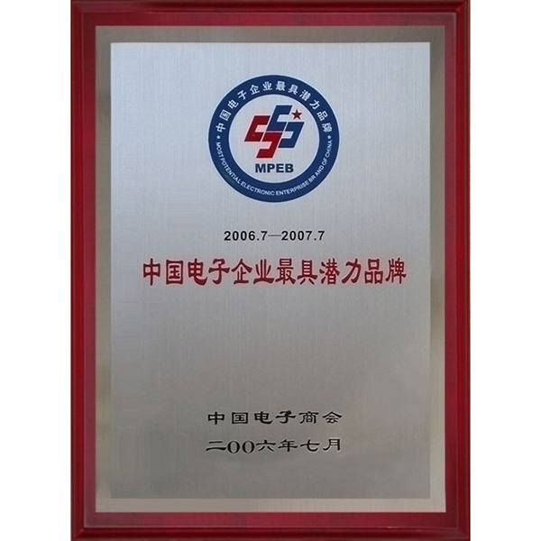 最具潜力品牌证书